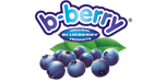 B-Berry Logo